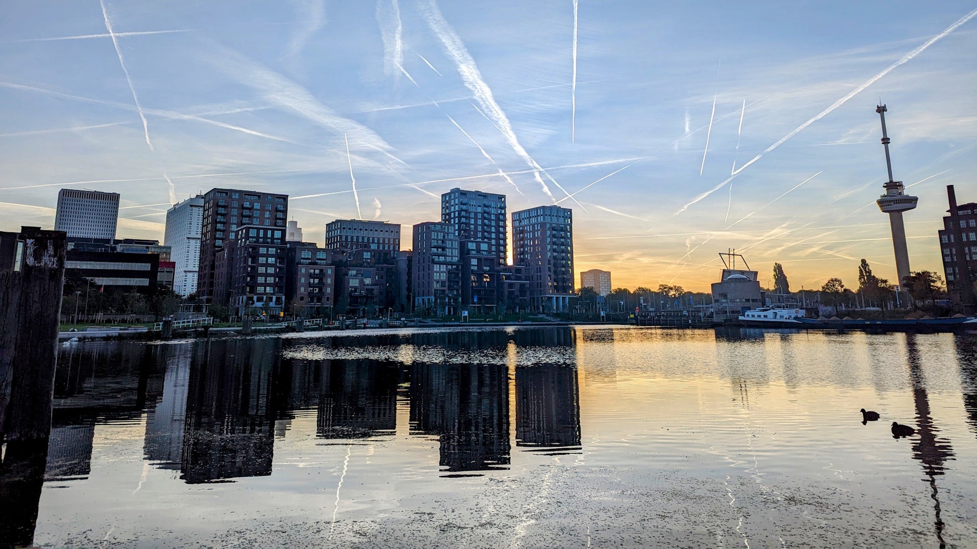 Rotterdam